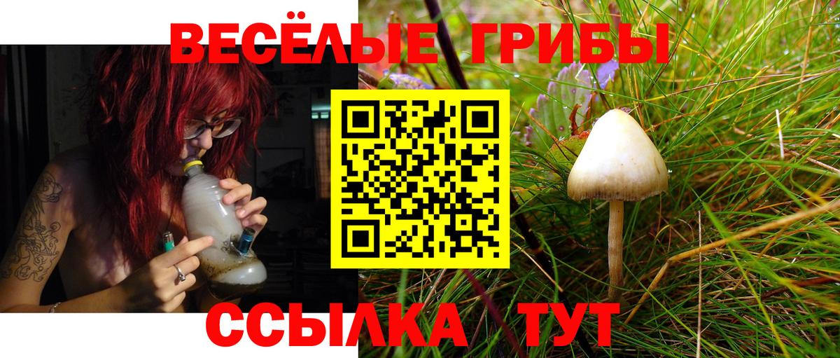 Псилоцибиновые грибы ЛСД  Псилоцибиновые грибы ЛСД  Назрань  Вход с VPN 