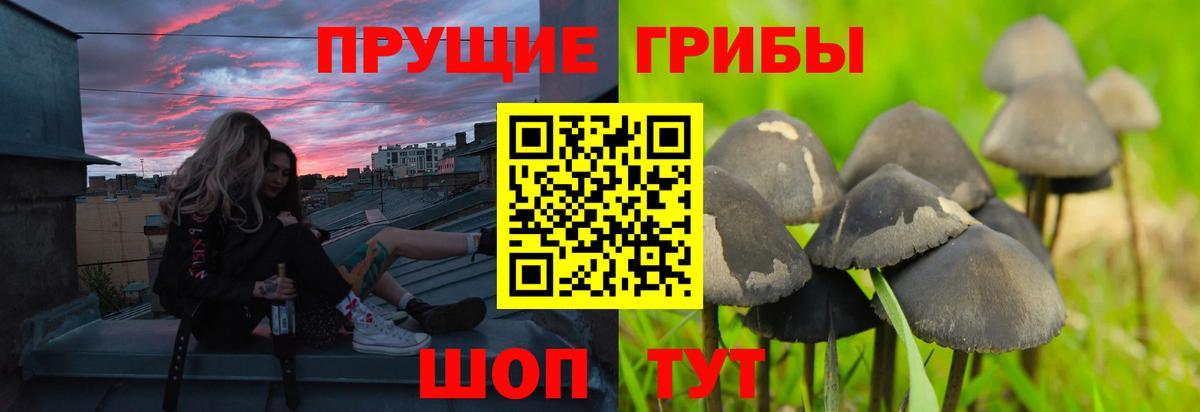 Псилоцибиновые грибы MAGIC MUSHROOMS Назрань